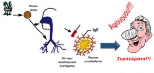 Αλλεργιογόνο και ρινίτιδα
